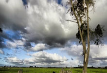 IM体育：国足球员近两场球迷评分对比：王大雷.暴跌至..