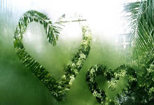 IM体育：足球市场：那不勒斯正在关注加蒂、小维阿和萨沃纳.