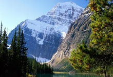 IM体育：官方：新世俱杯冠军奖金为.亿美元；不同大洲的俱乐部可获奖金不同.